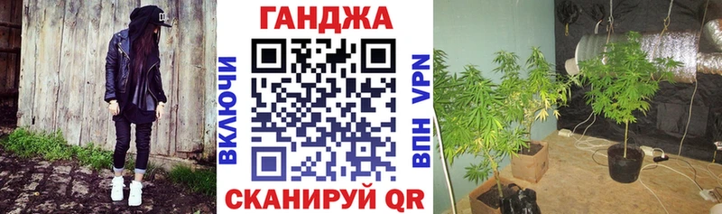 Названия наркотиков Кашира ГАШИШ КОКАИН Alpha PVP Канабис Меф мяу мяу