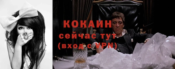 трава Абаза
