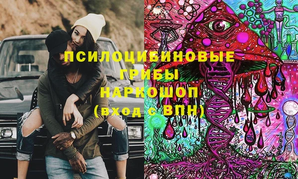 трава Абаза